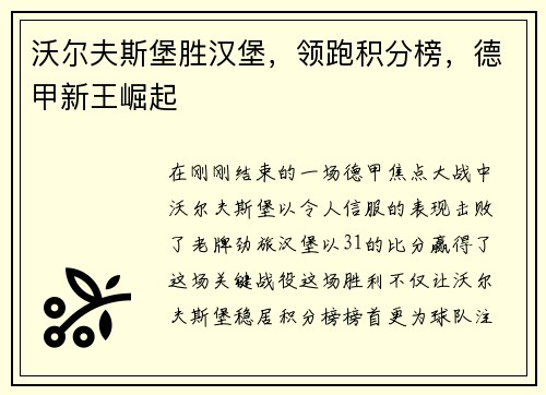 沃尔夫斯堡胜汉堡，领跑积分榜，德甲新王崛起
