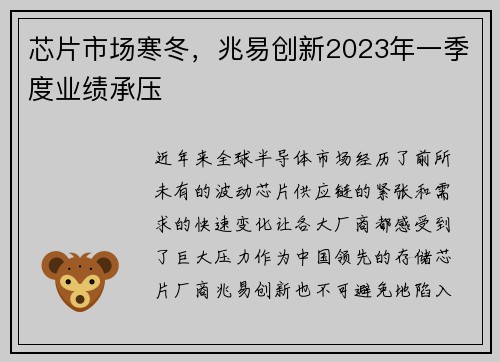 芯片市场寒冬，兆易创新2023年一季度业绩承压