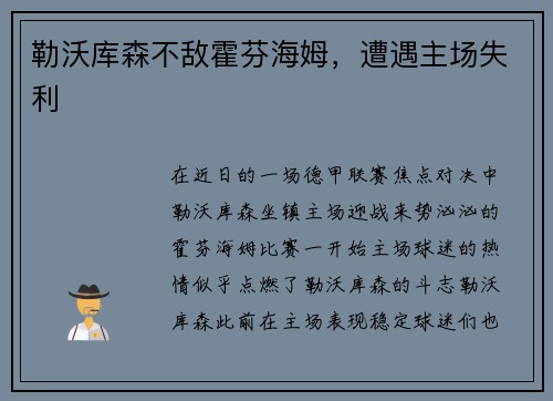 勒沃库森不敌霍芬海姆，遭遇主场失利