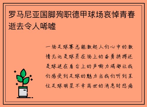 罗马尼亚国脚殉职德甲球场哀悼青春逝去令人唏嘘