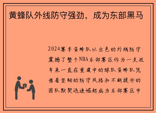 黄蜂队外线防守强劲，成为东部黑马