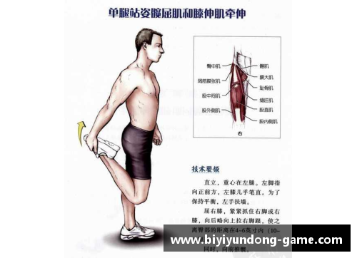 必一运动NBA肘部肌肉及韧带损伤的治疗与康复策略
